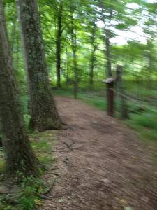 702520_605457669499090_1122816788_n