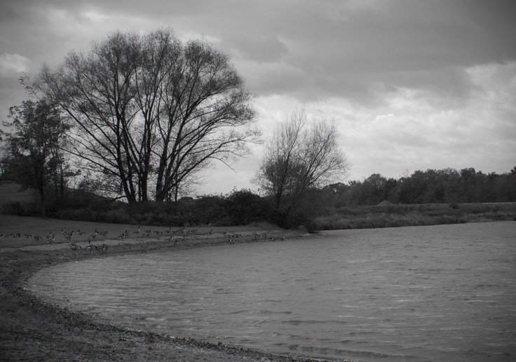 lakeside meeting.jpg