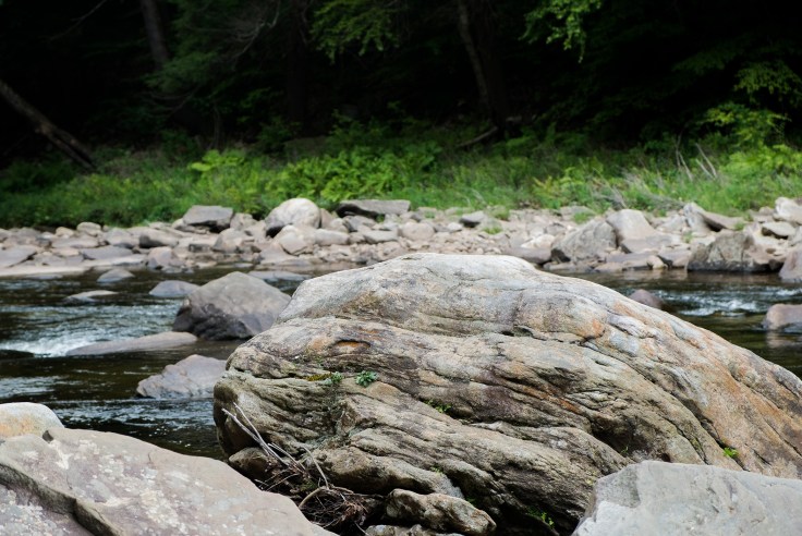 wiser than the years